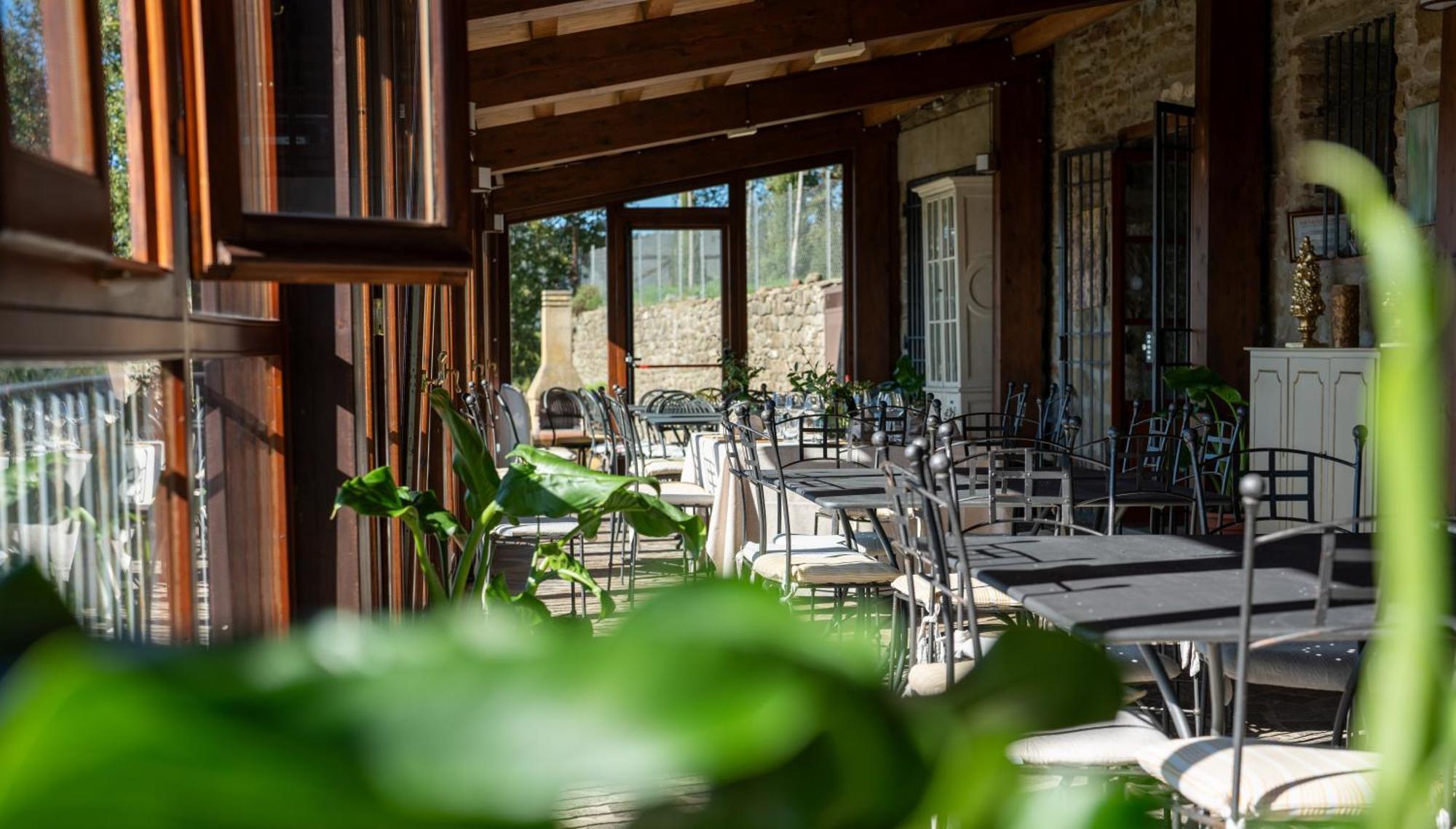 Agriturismo Badia Ficarolo Palazzo del Pero Екстер'єр фото