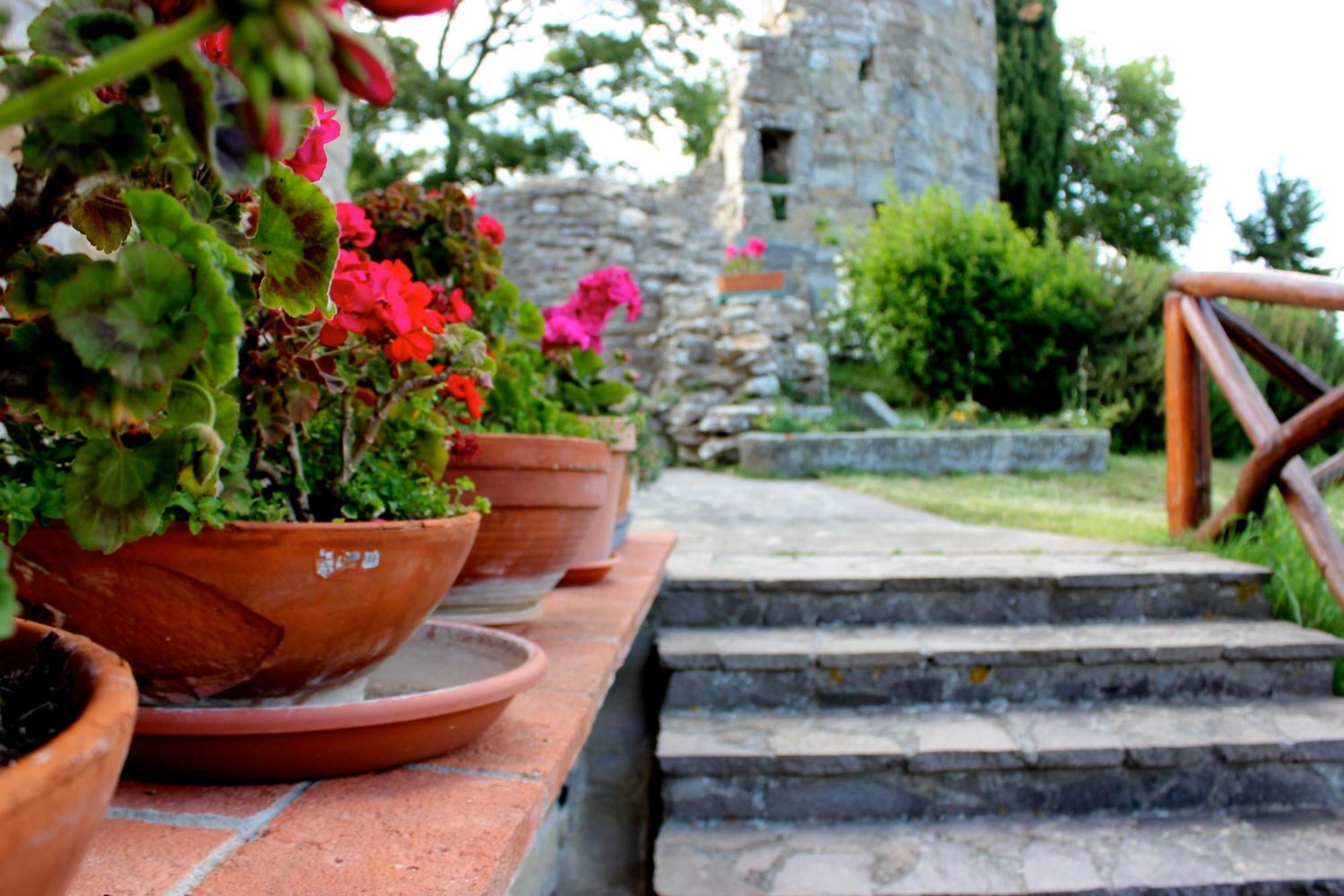 Agriturismo Badia Ficarolo Palazzo del Pero Екстер'єр фото